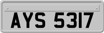 AYS5317