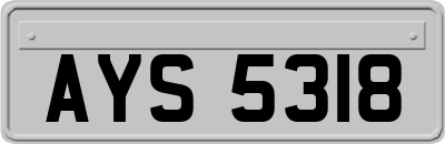 AYS5318