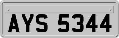 AYS5344