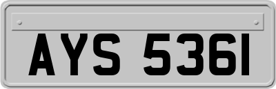 AYS5361