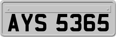 AYS5365