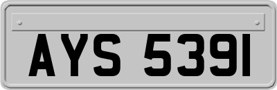 AYS5391