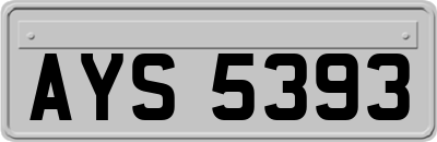 AYS5393