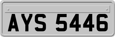 AYS5446