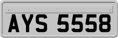 AYS5558