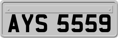 AYS5559