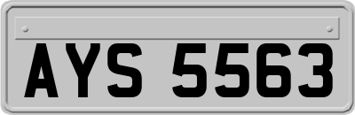 AYS5563