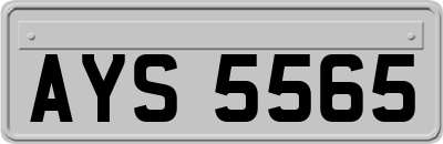 AYS5565