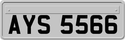 AYS5566
