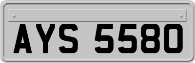 AYS5580