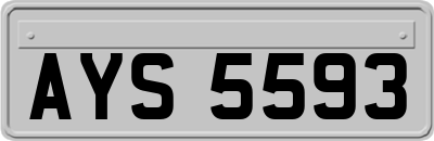 AYS5593