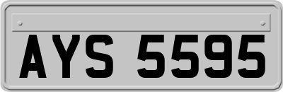 AYS5595