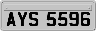 AYS5596
