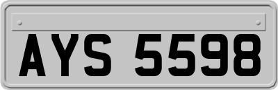 AYS5598