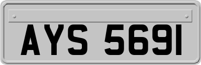 AYS5691
