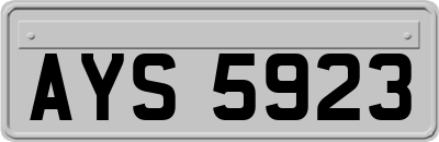 AYS5923