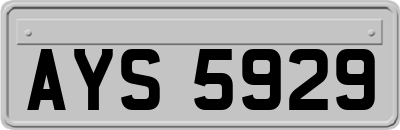 AYS5929