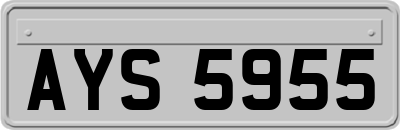 AYS5955