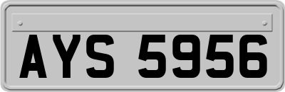 AYS5956