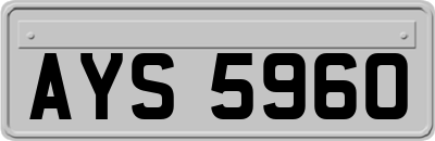 AYS5960