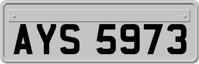 AYS5973