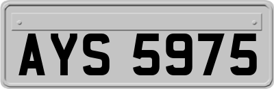 AYS5975