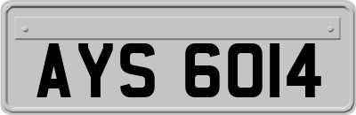 AYS6014