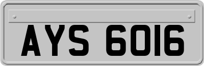 AYS6016