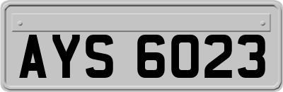 AYS6023