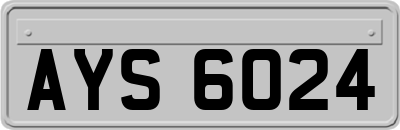 AYS6024