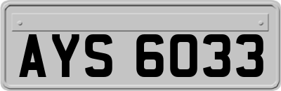 AYS6033