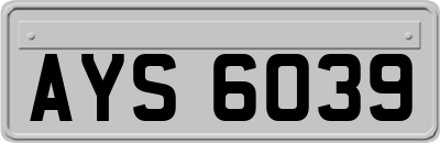 AYS6039
