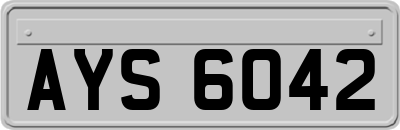 AYS6042