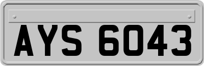 AYS6043