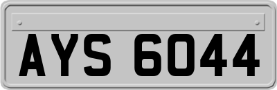 AYS6044