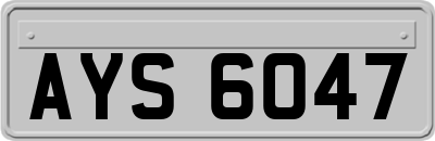 AYS6047