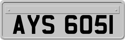 AYS6051