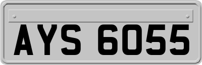AYS6055