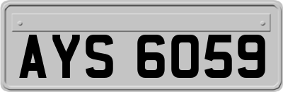 AYS6059