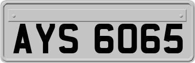 AYS6065