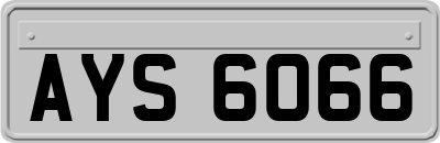 AYS6066