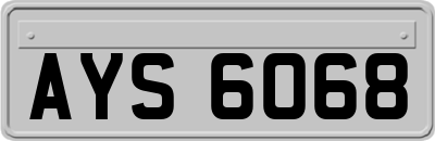AYS6068