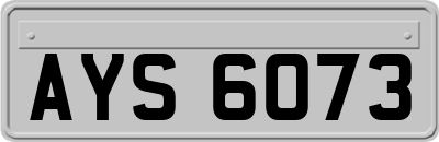 AYS6073
