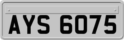 AYS6075