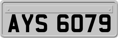 AYS6079