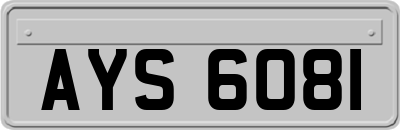 AYS6081