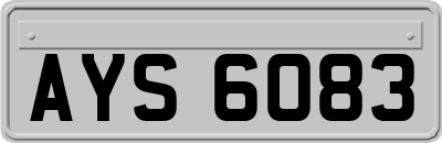 AYS6083