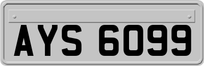AYS6099