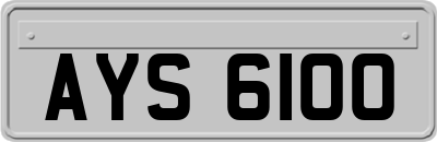 AYS6100