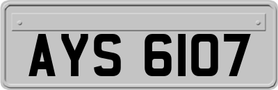 AYS6107